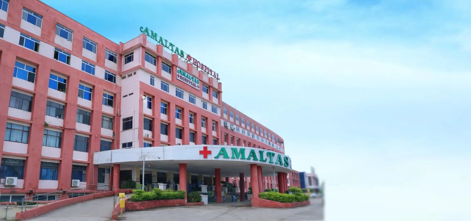 Amaltas Institute of Homoeopathy, Dewas